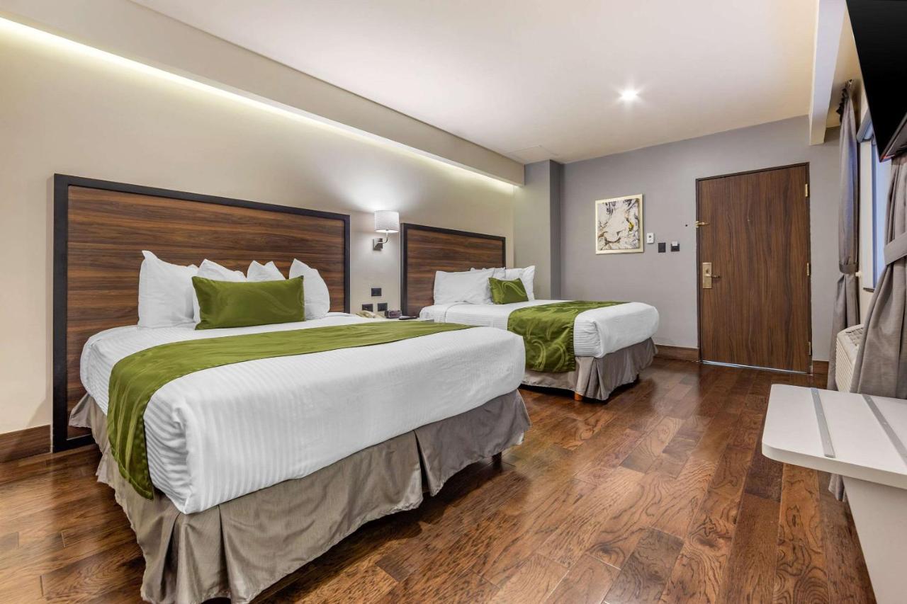 Quality San Francisco Inn 4*