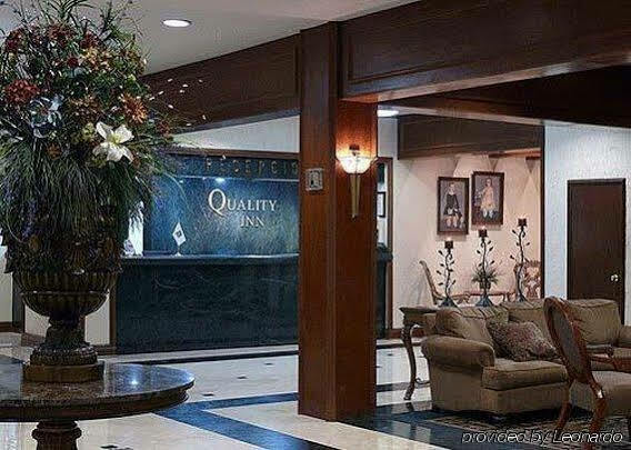 Inn Quality San Francisco Chihuahua